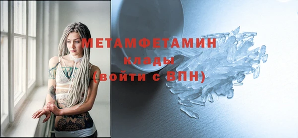 индика Осинники
