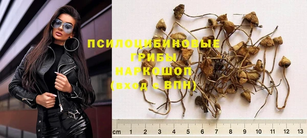 прущая мука Белокуриха