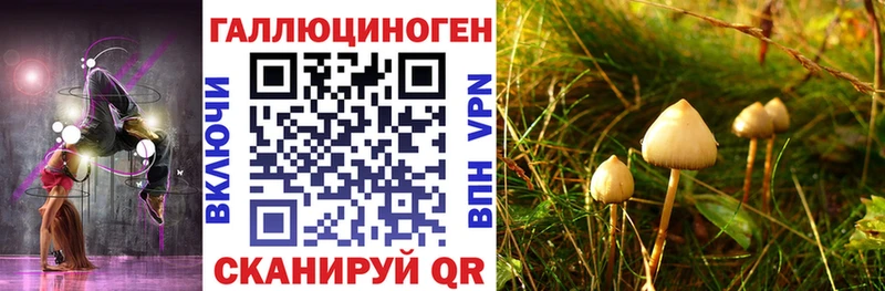 блэк спрут рабочий сайт  Курганинск  Псилоцибиновые грибы GOLDEN TEACHER 